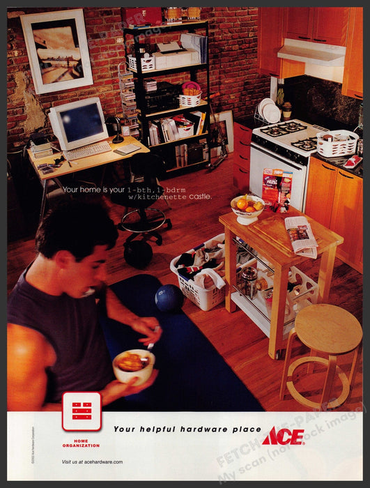 Ace Hardware Guys Bachelor Pad 2000s Print Advertisement Ad 2002 Fetch-the-Paper