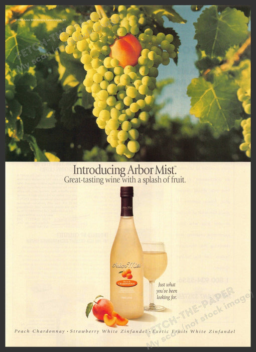 Arbor Mist 1990s Magazine Print Advertisement 1998 Splash of Fruit Arbor Mist
