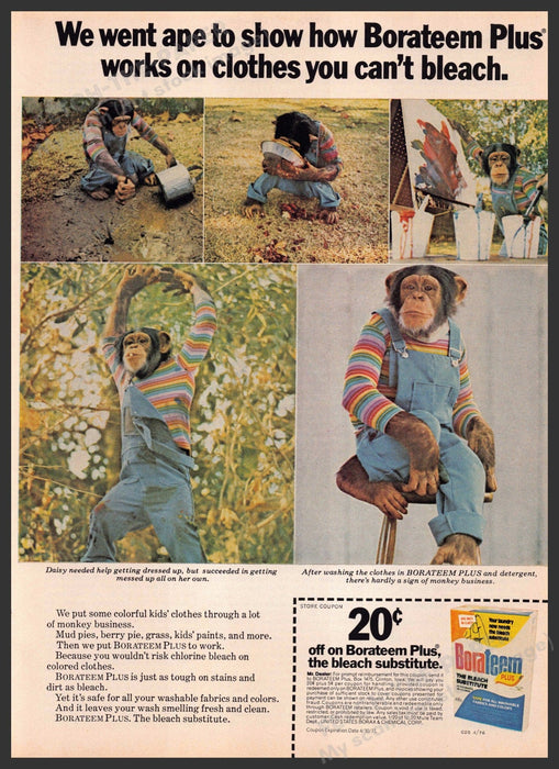 Borateem Plus 1970s Print Advertisement 1976 Dressed Chimpanzee Fetch-the-Paper