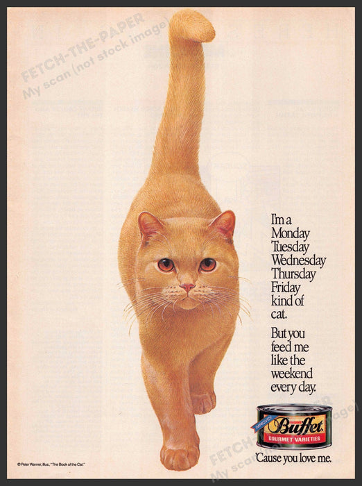 Buffet 1980s Magazine Print Advertisement 1986 Cat Orange Buffet
