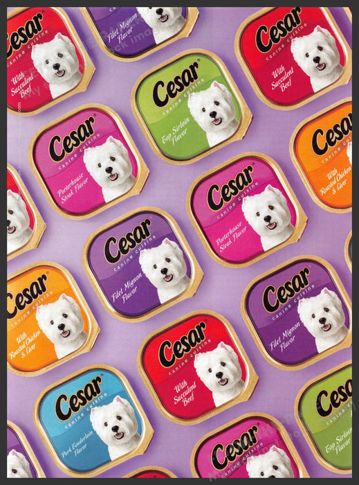 Cesar 2000s Print Advertisement Ad 2008 Dog Colorful Promo Cesar Dog