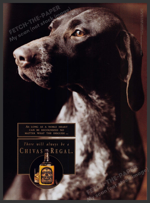 Chivas Regal 1990s Print Advertisement Ad 1992 German Hair Pointer Dog Fetch-the-Paper