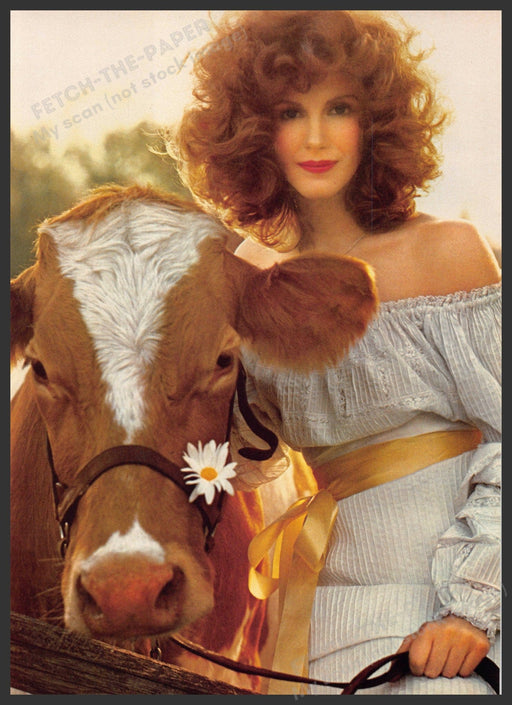 Dairy Cow with Red Haired Milkmaid 1970s Magazine Photo 1976 Fetch-the-Paper