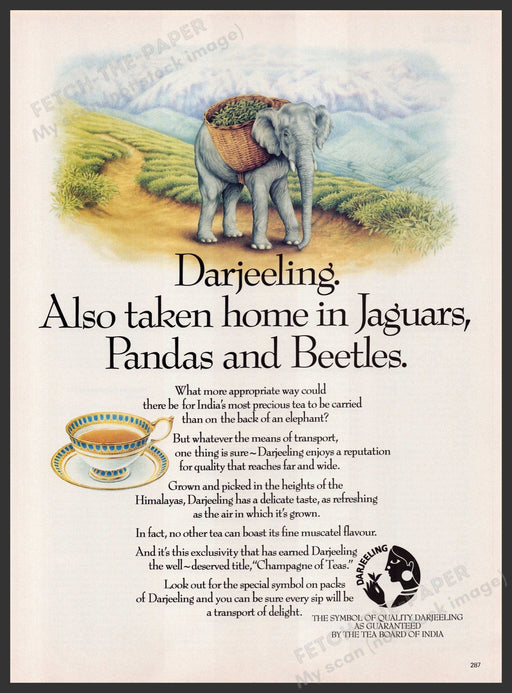 Darjeeling Tea 1980s Print Advertisement Ad 1988 "Champagne of teas" Fetch-the-Paper