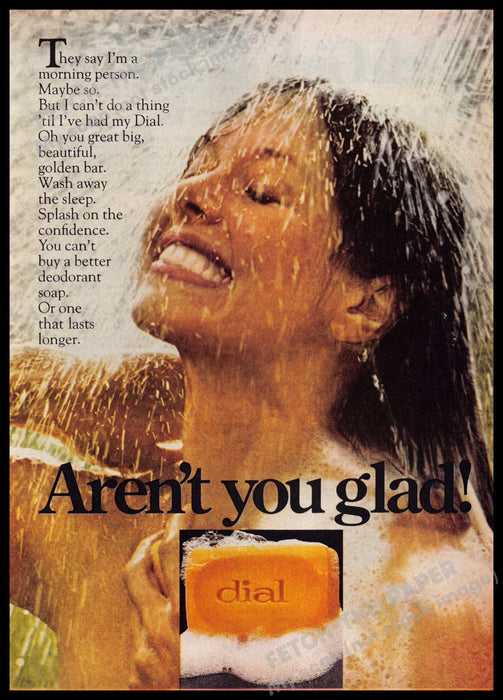 Dial Soap 1970s Print Advertisement 1977 Girl Shower Splash Skincare Dial Soap