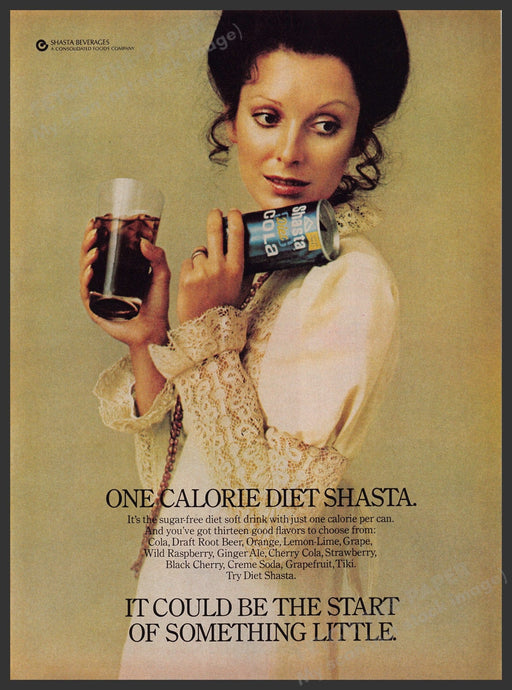 Diet Shasta Soda Pop 1970s Print Advertisement Ad 1973 "Start of something..." Fetch the Paper!