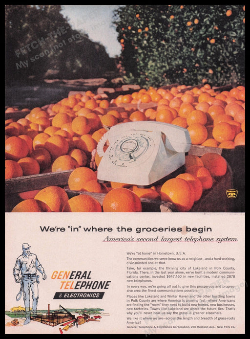 General Telephone & Electronics Oranges 1950s Print Advertisement Ad 1959 Fetch the Paper!