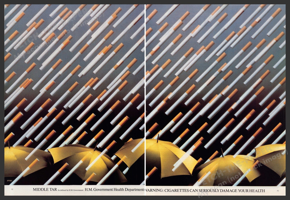 H.M. Government Warning Cigarette 1980s Print Advertisement (2 pg) 1980 Raining Fetch-the-Paper