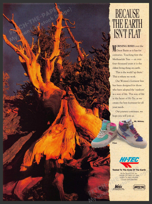 Hi-Tec 1990s Magazine Print Advertisement 1990 Methuselah Tree Shoes Hi-Tec