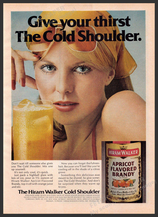 Hiram Walker 1970s Print Advertisement 1977 "Give your thirst the cold shoulder" Fetch-the-Paper