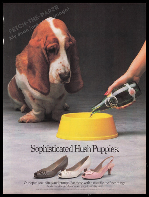 Hush Puppies Shoes Basset Hound Dog 1980s Print Advertisement Ad 1988 Fetch the Paper!