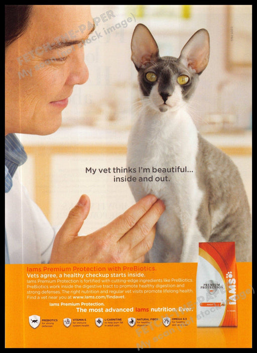 Iams 2010s Magazine Print Ad 2011 Cornish Rex Cat "My vet thinks I'm beautiful" Iams