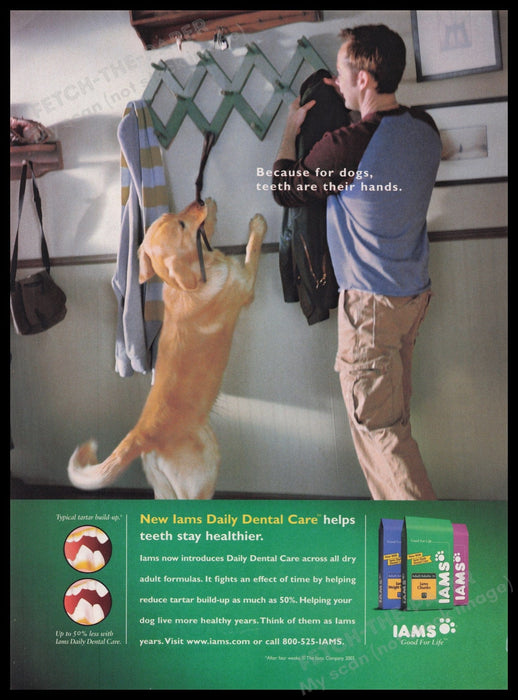 Iams Dog Food 2000s Print Advertisement Ad 2003 Golden Retriever Fetch the Paper!