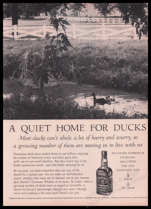 Jack Daniel's Tennessee Whiskey Duck Pond 1950s Print Advertisement Ad 1959 Fetch the Paper!