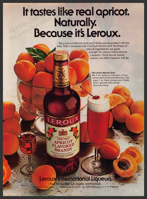 Leroux Apricot Brandy 1980s Print Advertisement 1984 Drink Recipe Fetch-the-Paper