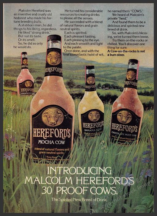 Malcom Hereford's 1970s Print Advertisement 1976 Spring Grass Field Fetch-the-Paper