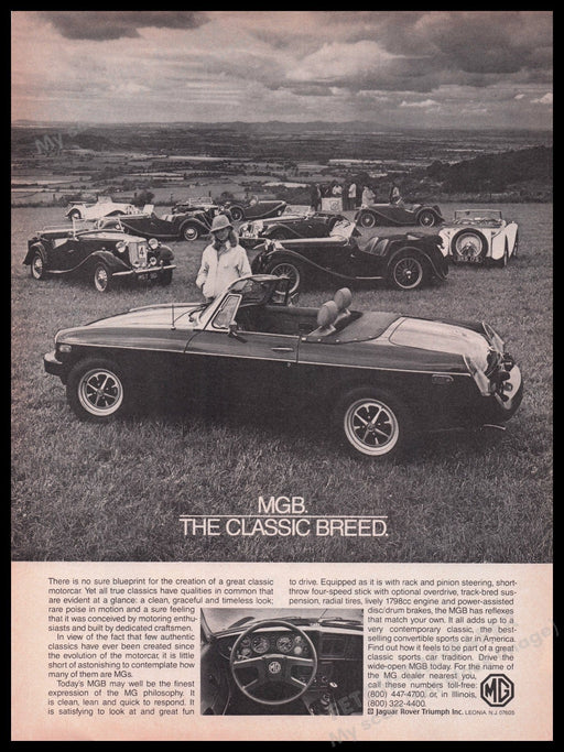 MGB Car 1980s Print Advertisement Ad 1980 "The Classic Breed" Fetch the Paper!