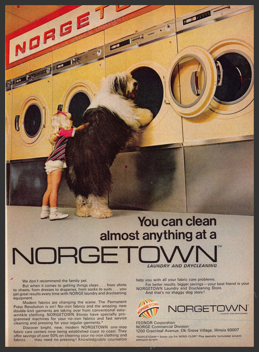 Norgetown Laundry 1960s Print Advertisement Ad 1969 Old English Sheepdog Fetch the Paper!