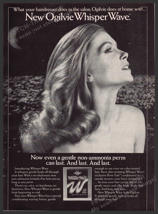 Ogilvie 1980s Magazine Print Ad 1981 Whisper Wave Hair Perm Salon Fetch-the-Paper