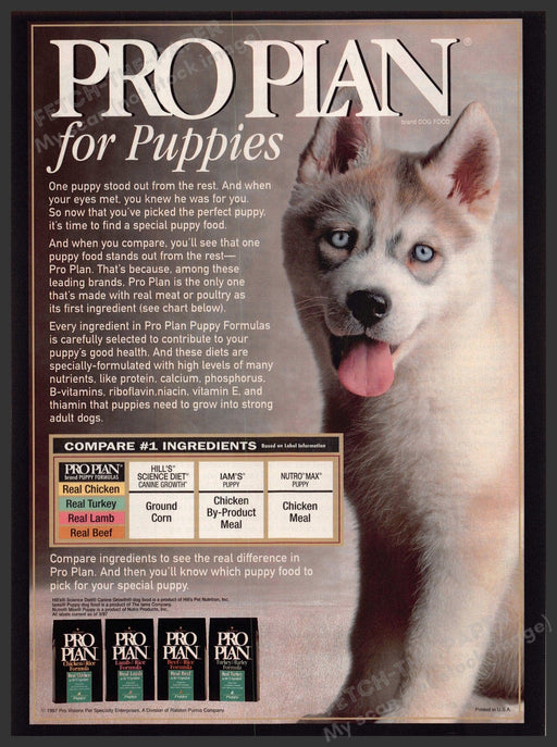 Pro Plan 1990s Print Advertisement 1998 Food Dog Blue Eye Husky Puppy Pro Plan