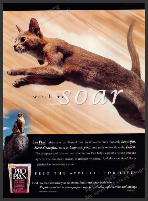 Pro Plan Cat Food 2000s Print Advertisement Ad 2000 Jumping Cat Soar Fetch-the-Paper