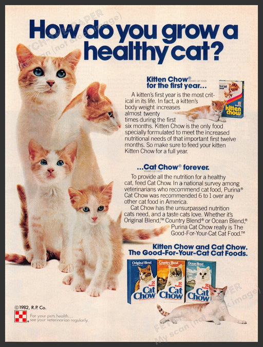 Purina 1980s Magazine Print Advertisement 1983 Healthy Cat Chow Purina