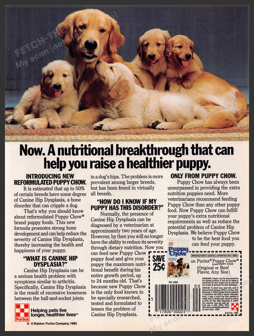 Purina 1980s Print Advertisement 1986 Chow Golden Retriever Dog & Puppies Purina