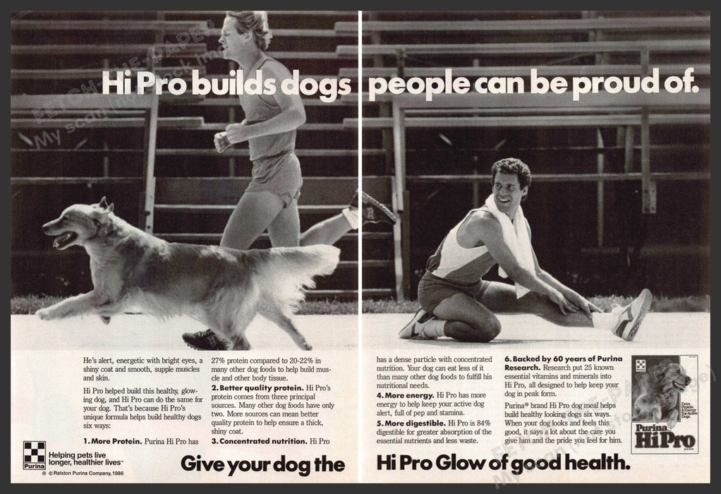 Purina 1980s Print Advertisement (2 pages) 1987 Dog Men Running on Track Purina