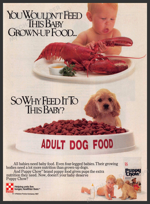 Purina 1980s Print Advertisement Ad 1988 Baby & Cocker Spaniel Puppy Purina