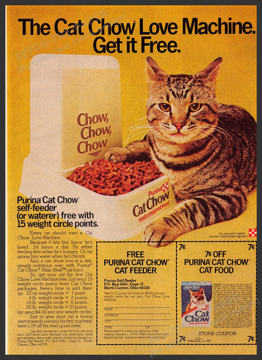 Purina Cat Chow 1970s Print Advertisement 1976 Food Self Feeder Tabby Fetch-the-Paper