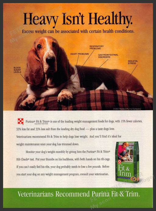 Purina Fit & Trim 1990s Print Advertisement 1998 Food Dog Bassett Hound Purina