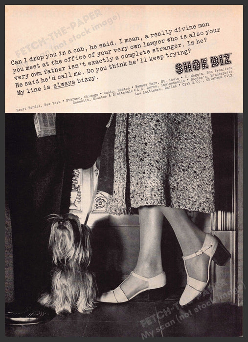 Shoe Biz 1970s Print Advertisement 1977 Yorkshire Terrier Yorkie Dog Legs Fetch-the-Paper
