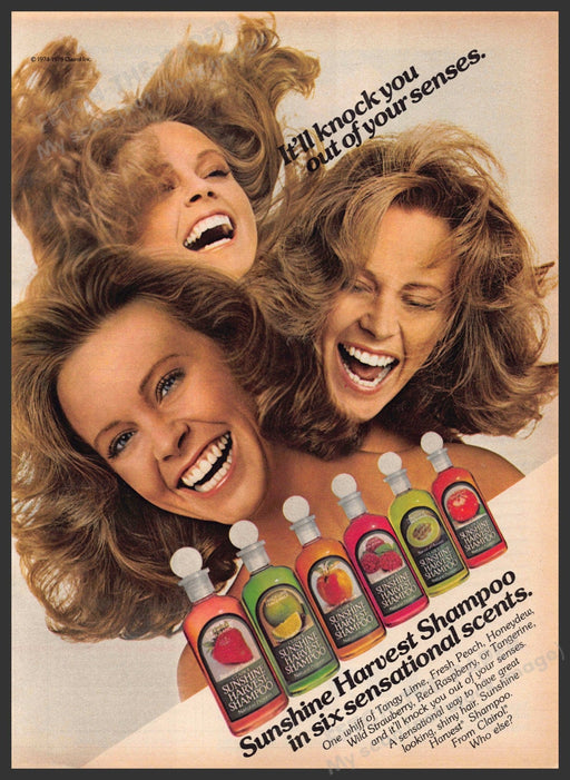 Sunshine Harvest 1970s Print Advertisement 1977 Hair It'll knock your socks off Sunshine Harvest