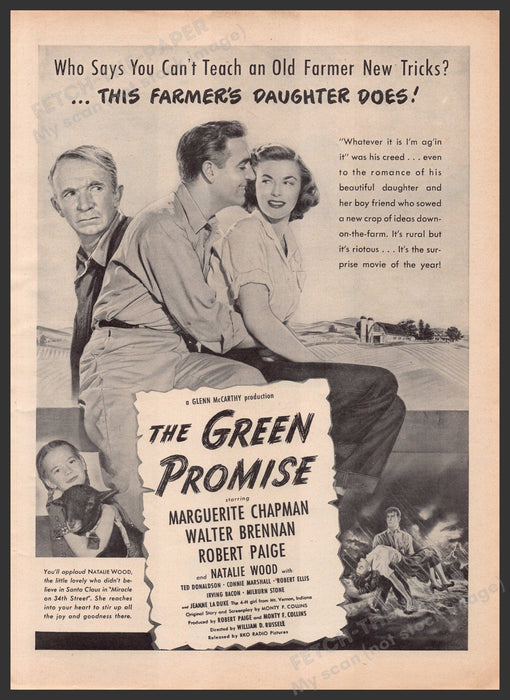 "The Green Promise" Movie Release 1940s Print Advertisement Ad 1949 Chapman Fetch-the-Paper