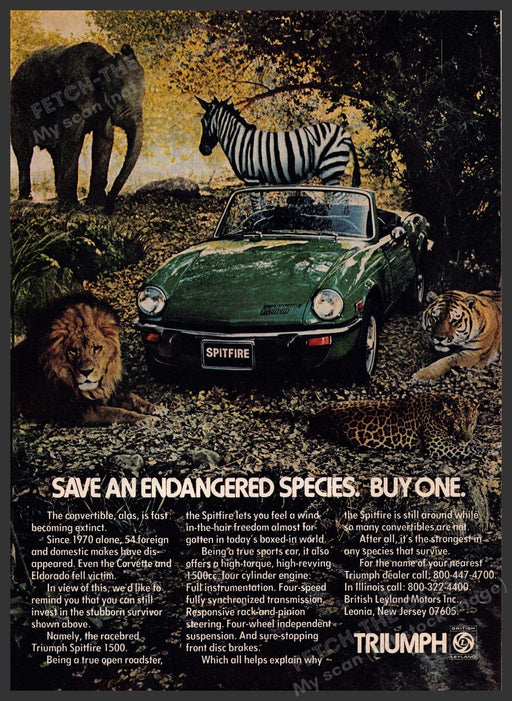 Triumph Spitfire 1970s Print Advertisement 1977 Save an Endangered Species Fetch-the-Paper