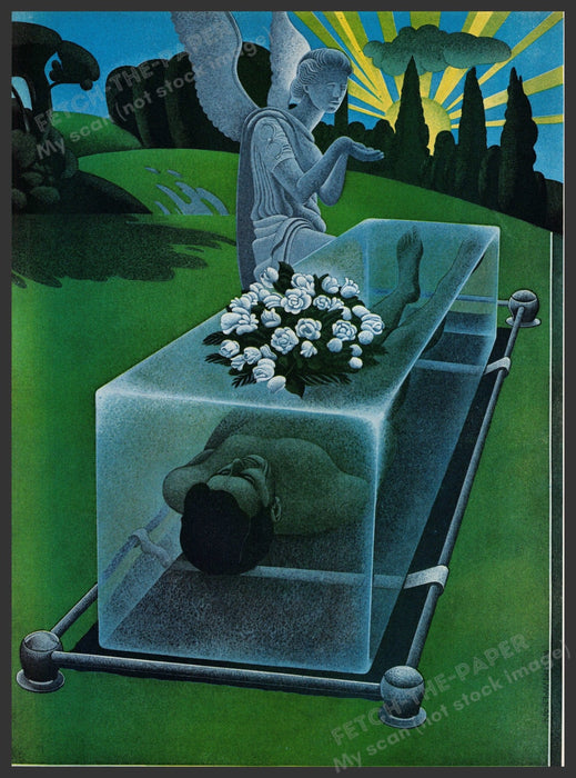 Wilson McLean Magazine Illustration 1970s Vintage Print 1973 Clear Coffin Angel Fetch the Paper!