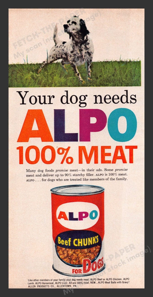 1963 Alpo Beef Chunks for Dogs English Setter Print Advertisement Ad