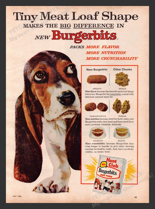 1963 Hunt Club Burgerbits Dog Food Basset Hound Puppy Print Advertisement Ad