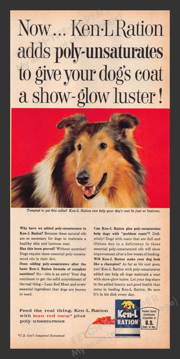 1963 Ken-L Ration Dog Food Collie Print Advertisement Ad