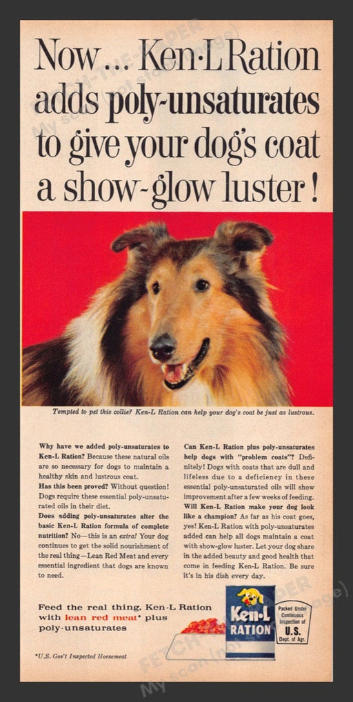 1963 Ken-L Ration Dog Food Collie Print Advertisement Ad