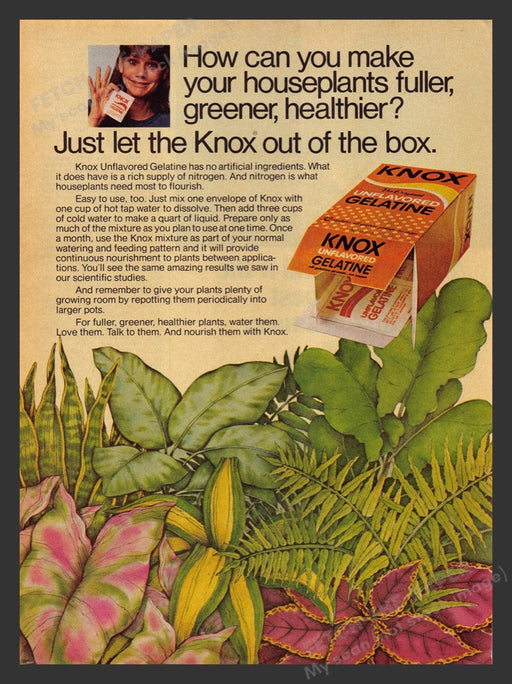 1980 Knox Gelatine for Houseplants Print Advertisement Ad