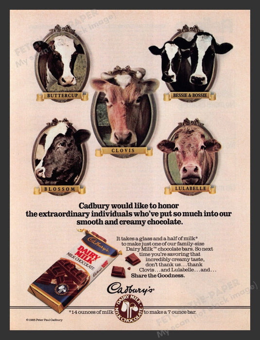 1985 Cadbury's Dairy Milk Chocolate Candy Bar Cows Print Advertisement Ad