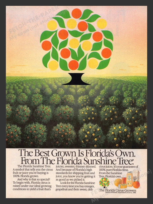 1987 Florida Citrus Growers Sunshine Tree Juice Print Advertisement Ad