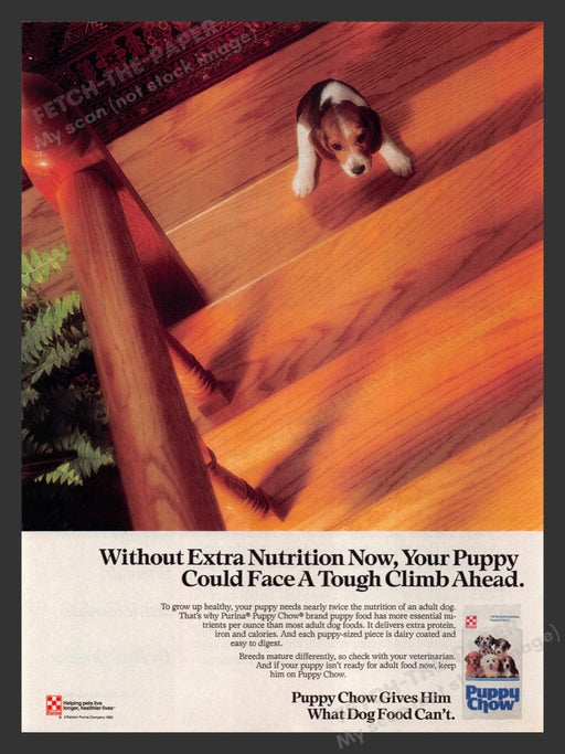 1989 Purina Puppy Chow Beagle Puppy Climbing Stairs Print Advertisement Ad