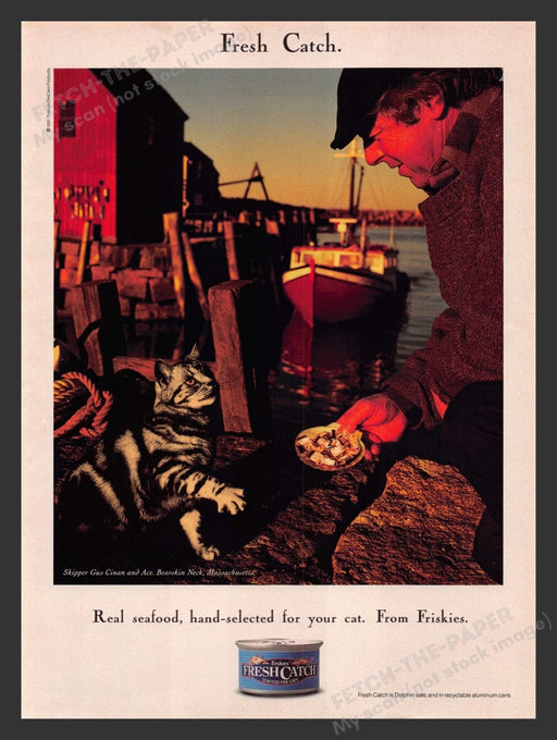 1991 Friskies Fresh Catch Cat Food American Shorthair Print Advertisement Ad