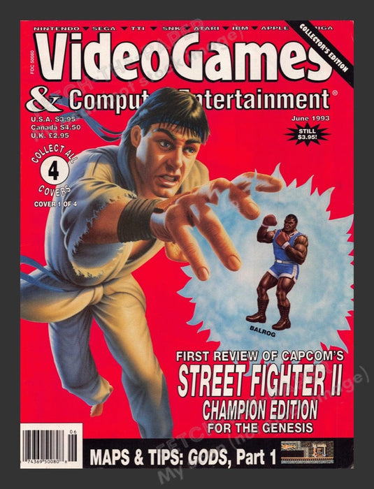 1993 Video Games & Computer Entertainment Street Fighter II Magazine Cover Only Fetch the Paper!