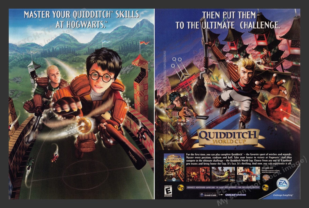 2003 Harry Potter: Quidditch World Cup Video Game Print Advertisement (2 pgs) Fetch the Paper!