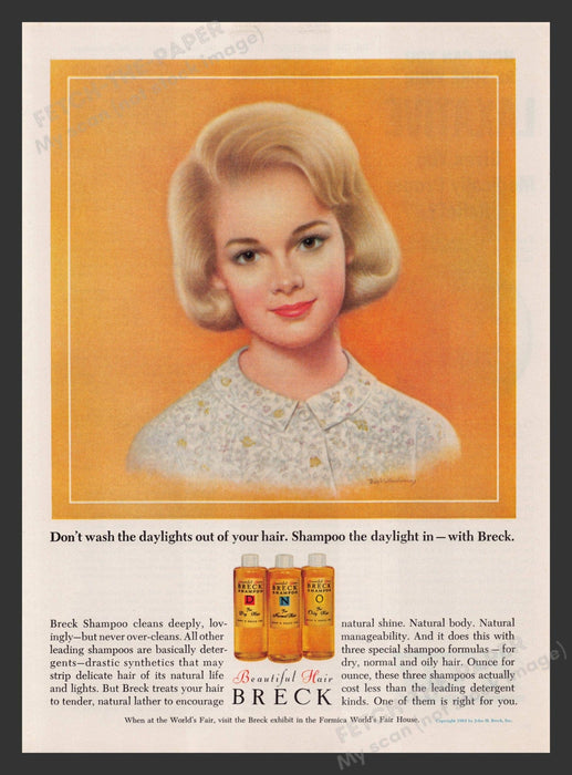 Breck 1960s Print Advertisement 1964 Shampoo Daylights Hair Fetch the Paper!