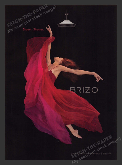 Brizo There's a Cure 2000s Print Advertisement 2007 Faucets Jason Wu Dress Fetch the Paper!