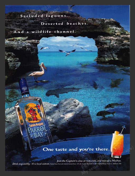 2002 Captain Morgan's Parrot Bay Pelican Sharks Fish Print Advertisement Ad